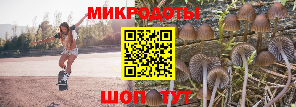 Псилоцибиновые грибы GOLDEN TEACHER  Вход с VPN  Пермь  Галлюциногенные грибы прущие грибы 